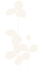 bg-img